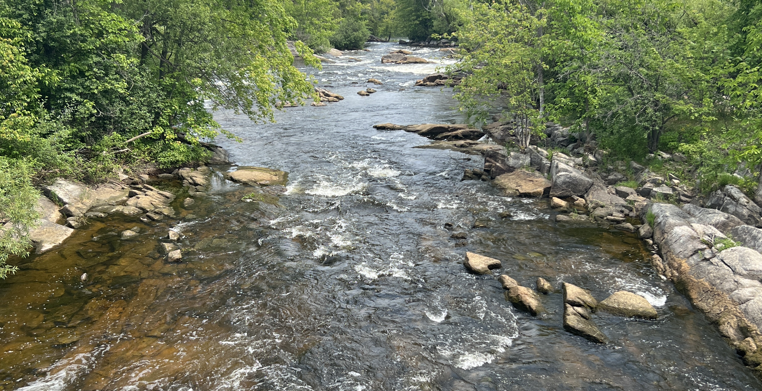 blakeney rapids